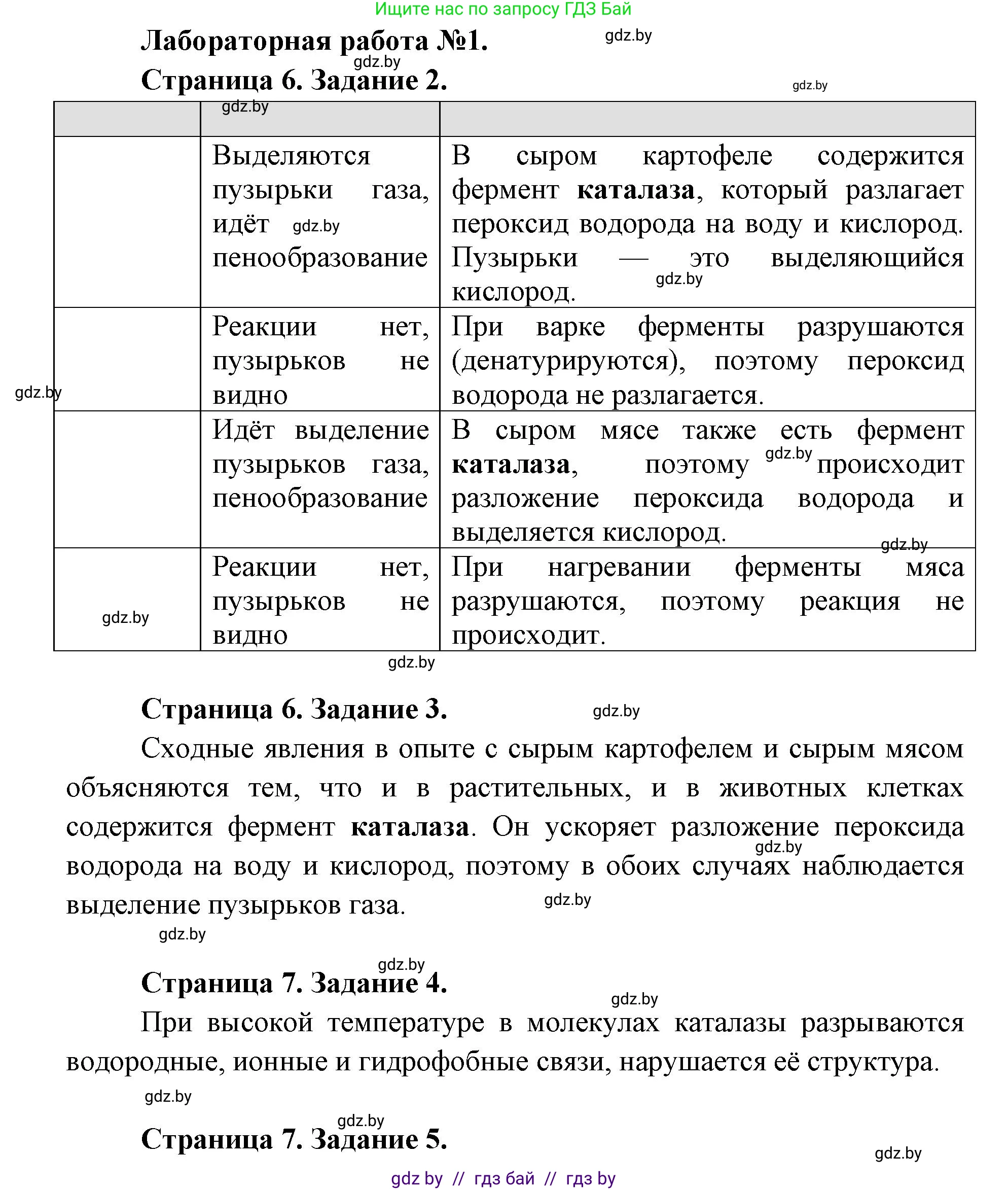Биология, 11 класс Тетрадь для лабораторных и практических работ, автор: Хруцкая Тамара Викторовна, издательство Аверсэв, Минск, 2025, жёлтого цвета, страница 5, Решение