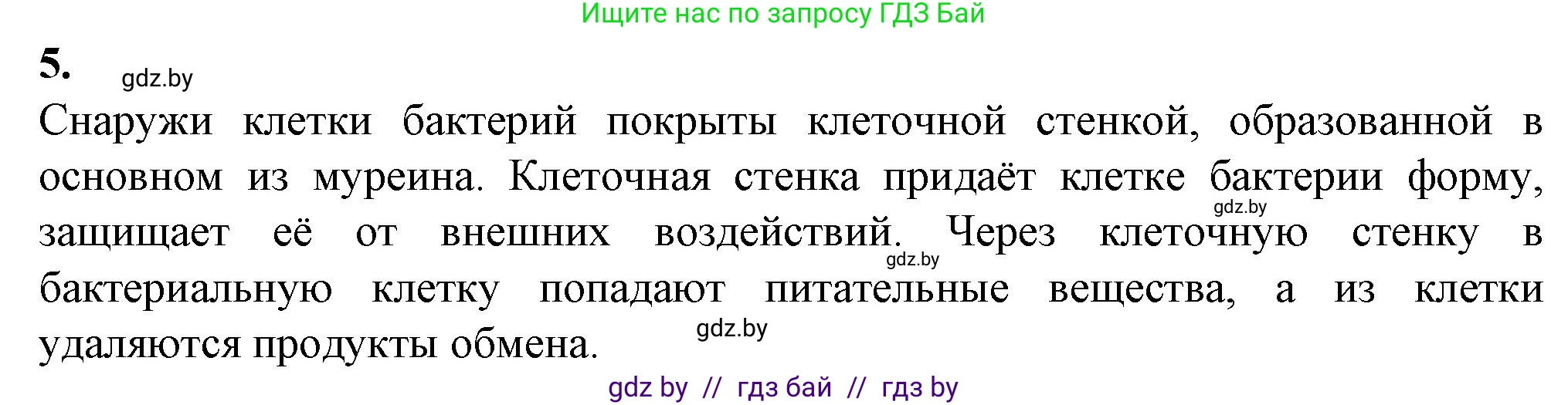 Биология, 11 класс Тетрадь для лабораторных и практических работ, автор: Хруцкая Тамара Викторовна, издательство Аверсэв, Минск, 2021, жёлтого цвета, страница 14, номер 5, Решение