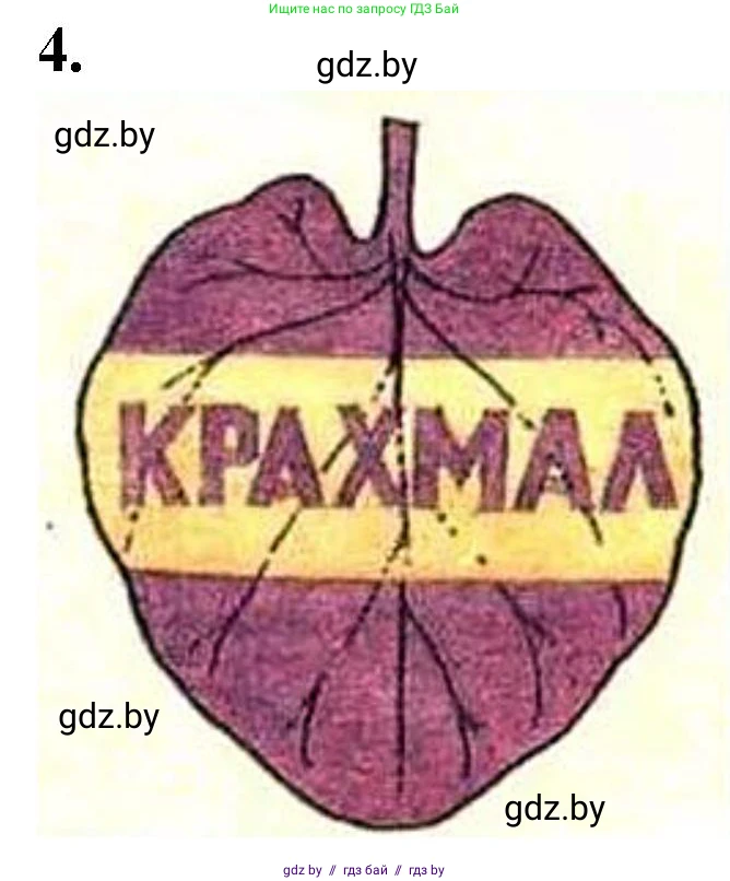 Биология, 11 класс Тетрадь для лабораторных и практических работ, автор: Хруцкая Тамара Викторовна, издательство Аверсэв, Минск, 2021, жёлтого цвета, страница 45, номер 4, Решение