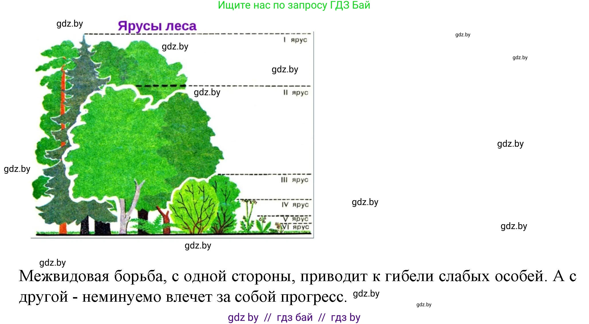 Биология, 11 класс Тетрадь для лабораторных и практических работ, автор: Хруцкая Тамара Викторовна, издательство Аверсэв, Минск, 2021, жёлтого цвета, страница 94, номер 5, Решение