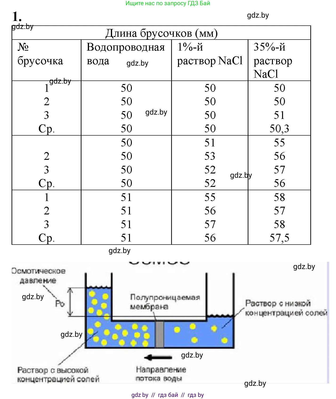Биология, 11 класс Тетрадь для лабораторных и практических работ, автор: Хруцкая Тамара Викторовна, издательство Аверсэв, Минск, 2021, жёлтого цвета, страница 16, номер 1, Решение