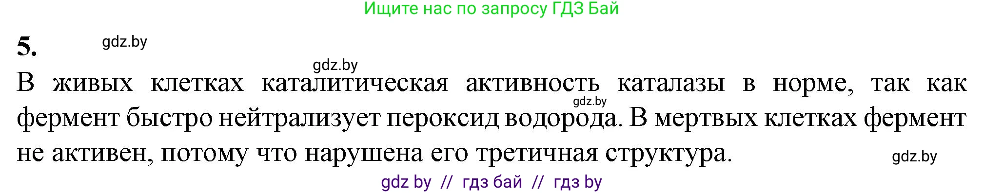 Биология, 11 класс Тетрадь для лабораторных и практических работ, автор: Хруцкая Тамара Викторовна, издательство Аверсэв, Минск, 2021, жёлтого цвета, страница 9, номер 5, Решение