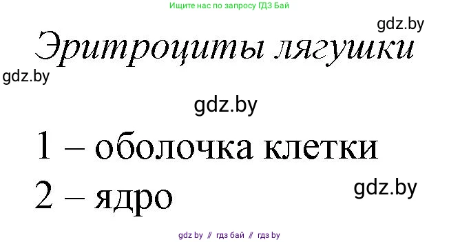 Биология, 11 класс Тетрадь для лабораторных и практических работ, автор: Хруцкая Тамара Викторовна, издательство Аверсэв, Минск, 2021, жёлтого цвета, страница 25, номер 3, Решение (продолжение 2)