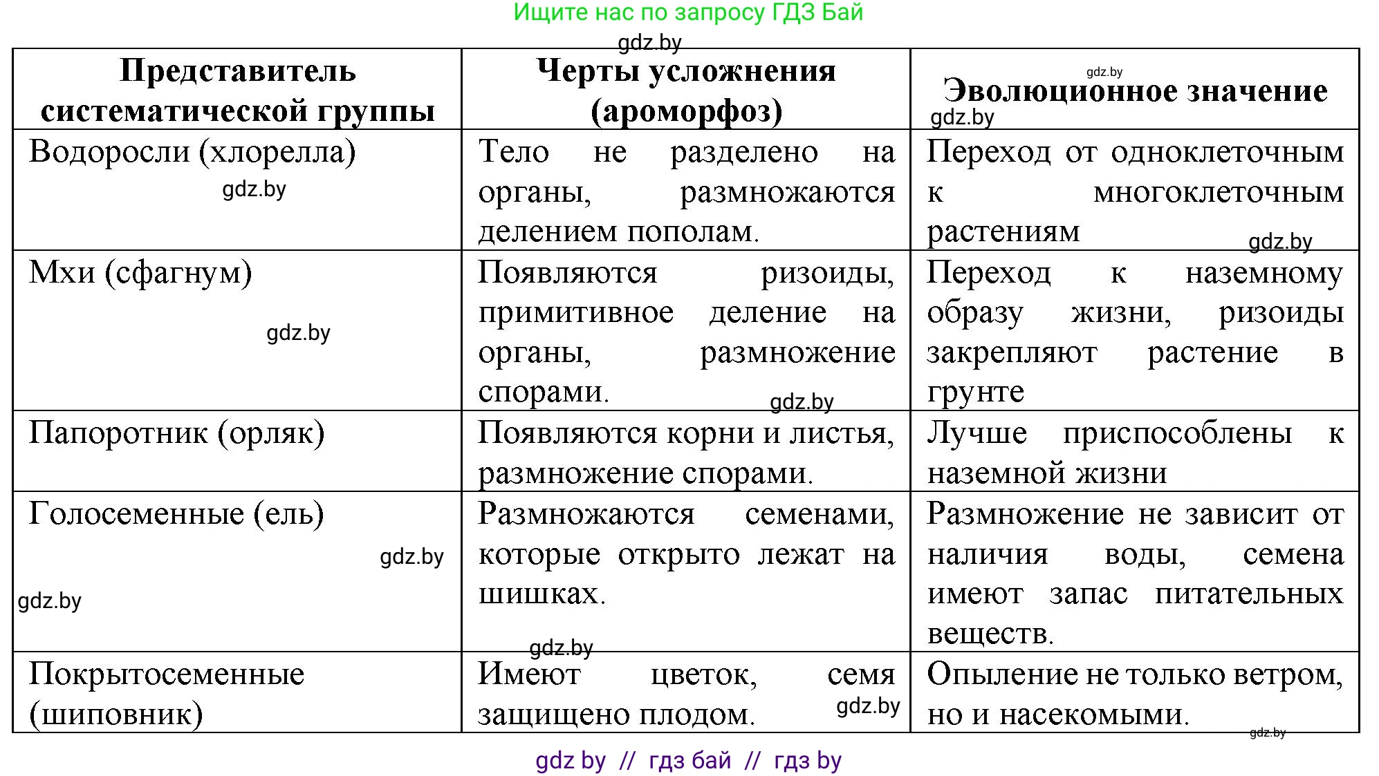 Биология, 11 класс Тетрадь для лабораторных и практических работ, автор: Хруцкая Тамара Викторовна, издательство Аверсэв, Минск, 2021, жёлтого цвета, страница 104, номер 3, Решение