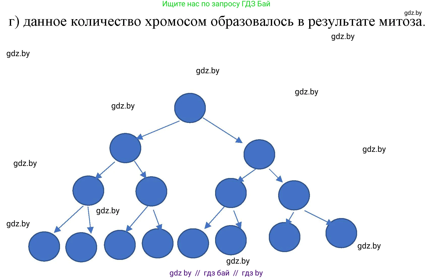 Биология, 11 класс Тетрадь для лабораторных и практических работ, автор: Хруцкая Тамара Викторовна, издательство Аверсэв, Минск, 2021, жёлтого цвета, страница 36, номер 3, Решение (продолжение 2)