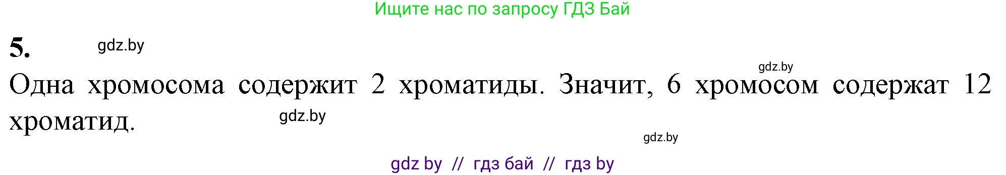 Биология, 11 класс Тетрадь для лабораторных и практических работ, автор: Хруцкая Тамара Викторовна, издательство Аверсэв, Минск, 2021, жёлтого цвета, страница 37, номер 5, Решение