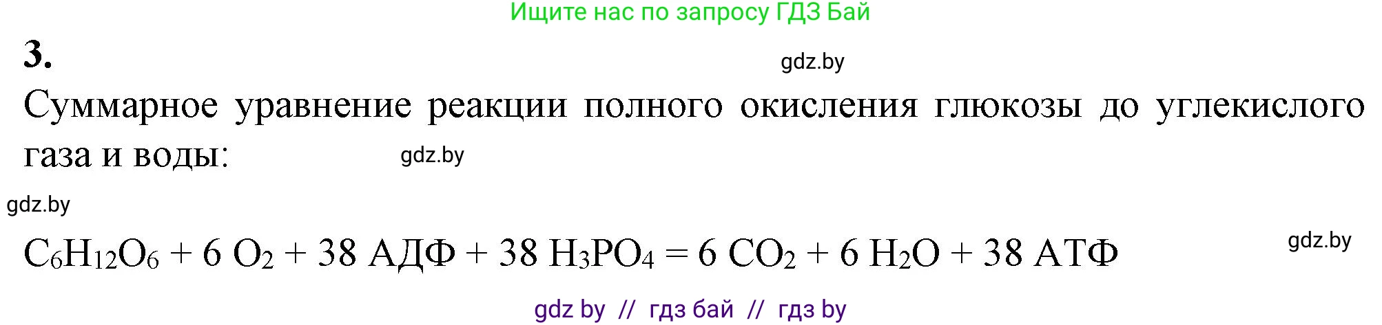 Биология, 11 класс Тетрадь для лабораторных и практических работ, автор: Хруцкая Тамара Викторовна, издательство Аверсэв, Минск, 2021, жёлтого цвета, страница 40, номер 3, Решение