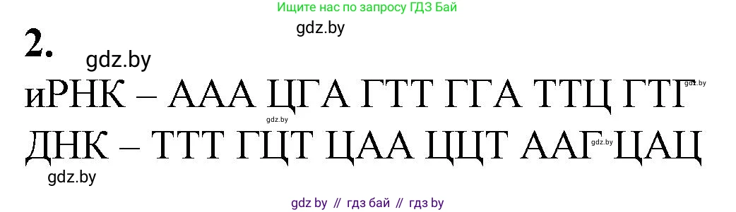 Биология, 11 класс Тетрадь для лабораторных и практических работ, автор: Хруцкая Тамара Викторовна, издательство Аверсэв, Минск, 2021, жёлтого цвета, страница 51, номер 2, Решение