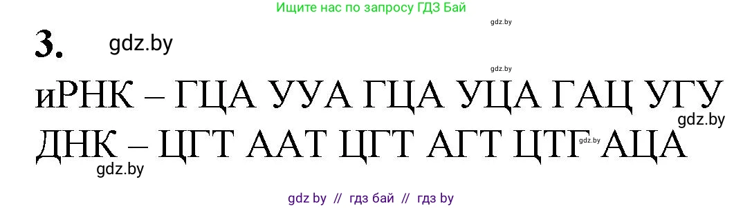Биология, 11 класс Тетрадь для лабораторных и практических работ, автор: Хруцкая Тамара Викторовна, издательство Аверсэв, Минск, 2021, жёлтого цвета, страница 51, номер 3, Решение