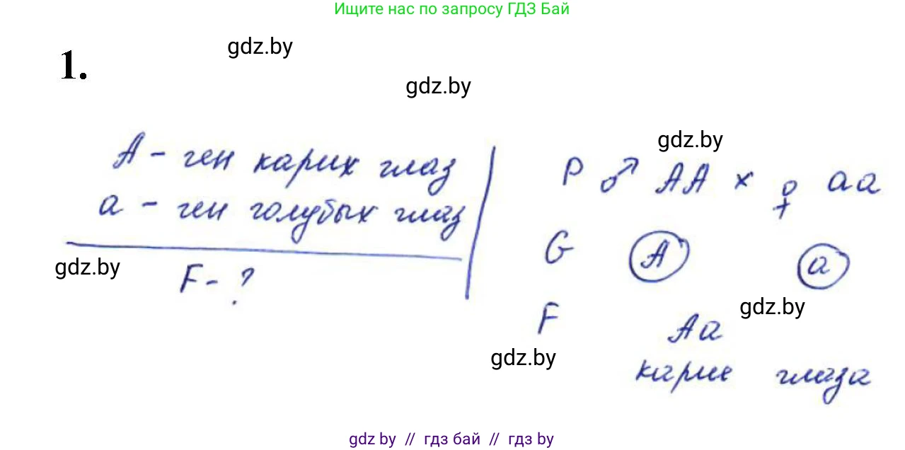 Биология, 11 класс Тетрадь для лабораторных и практических работ, автор: Хруцкая Тамара Викторовна, издательство Аверсэв, Минск, 2021, жёлтого цвета, страница 55, номер 1, Решение