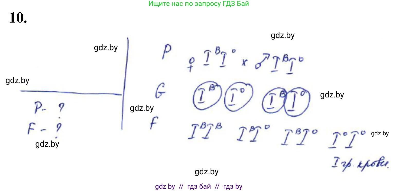 Биология, 11 класс Тетрадь для лабораторных и практических работ, автор: Хруцкая Тамара Викторовна, издательство Аверсэв, Минск, 2021, жёлтого цвета, страница 59, номер 10, Решение