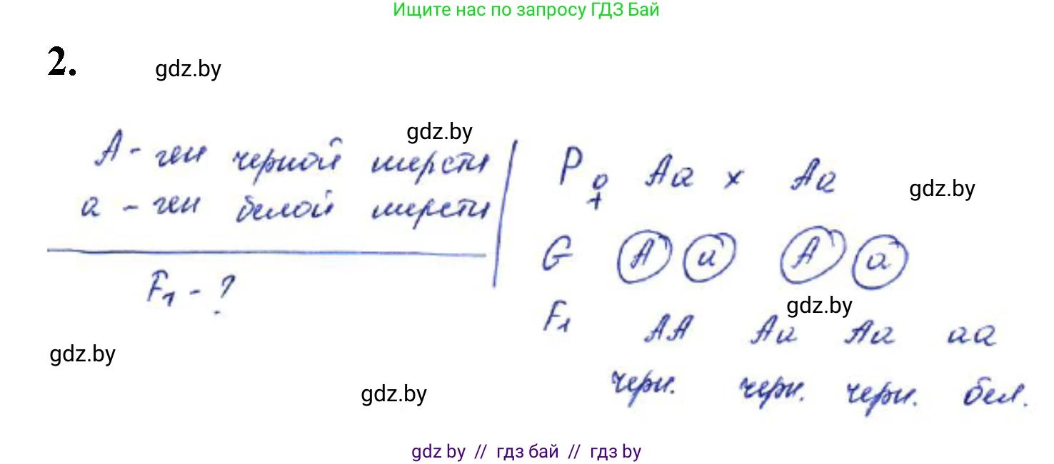 Биология, 11 класс Тетрадь для лабораторных и практических работ, автор: Хруцкая Тамара Викторовна, издательство Аверсэв, Минск, 2021, жёлтого цвета, страница 55, номер 2, Решение