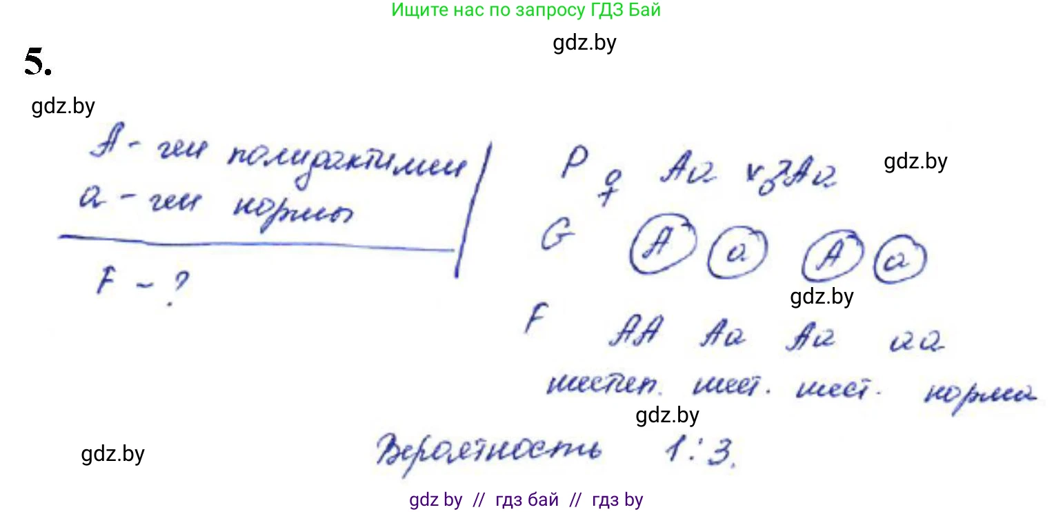Биология, 11 класс Тетрадь для лабораторных и практических работ, автор: Хруцкая Тамара Викторовна, издательство Аверсэв, Минск, 2021, жёлтого цвета, страница 56, номер 5, Решение