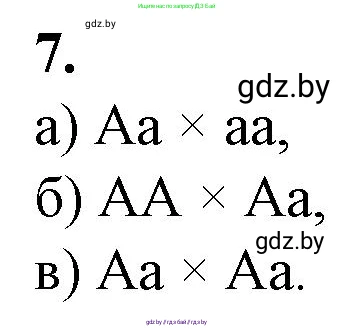 Биология, 11 класс Тетрадь для лабораторных и практических работ, автор: Хруцкая Тамара Викторовна, издательство Аверсэв, Минск, 2021, жёлтого цвета, страница 57, номер 7, Решение