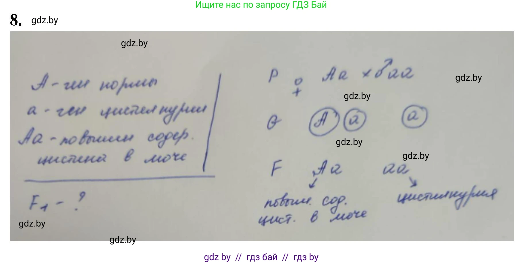Биология, 11 класс Тетрадь для лабораторных и практических работ, автор: Хруцкая Тамара Викторовна, издательство Аверсэв, Минск, 2021, жёлтого цвета, страница 58, номер 8, Решение