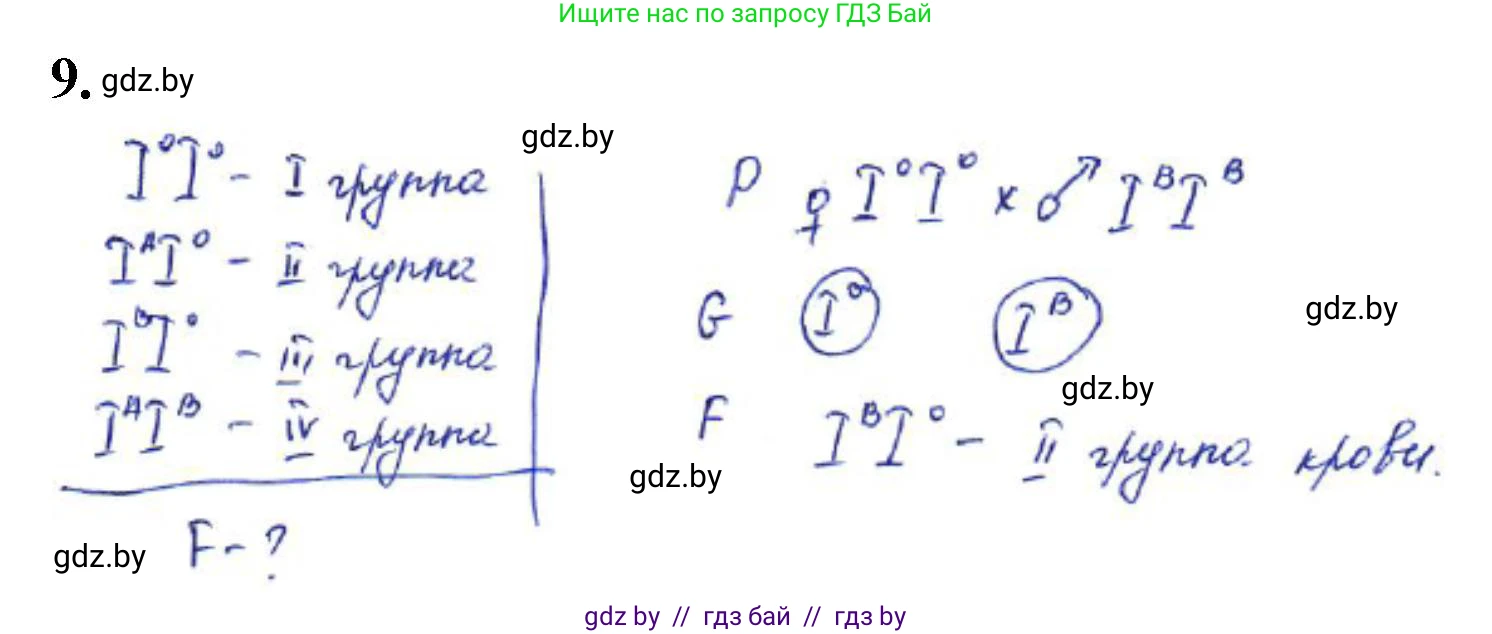 Биология, 11 класс Тетрадь для лабораторных и практических работ, автор: Хруцкая Тамара Викторовна, издательство Аверсэв, Минск, 2021, жёлтого цвета, страница 58, номер 9, Решение