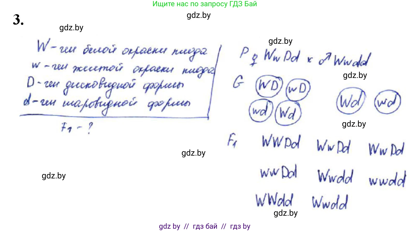 Биология, 11 класс Тетрадь для лабораторных и практических работ, автор: Хруцкая Тамара Викторовна, издательство Аверсэв, Минск, 2021, жёлтого цвета, страница 61, номер 3, Решение