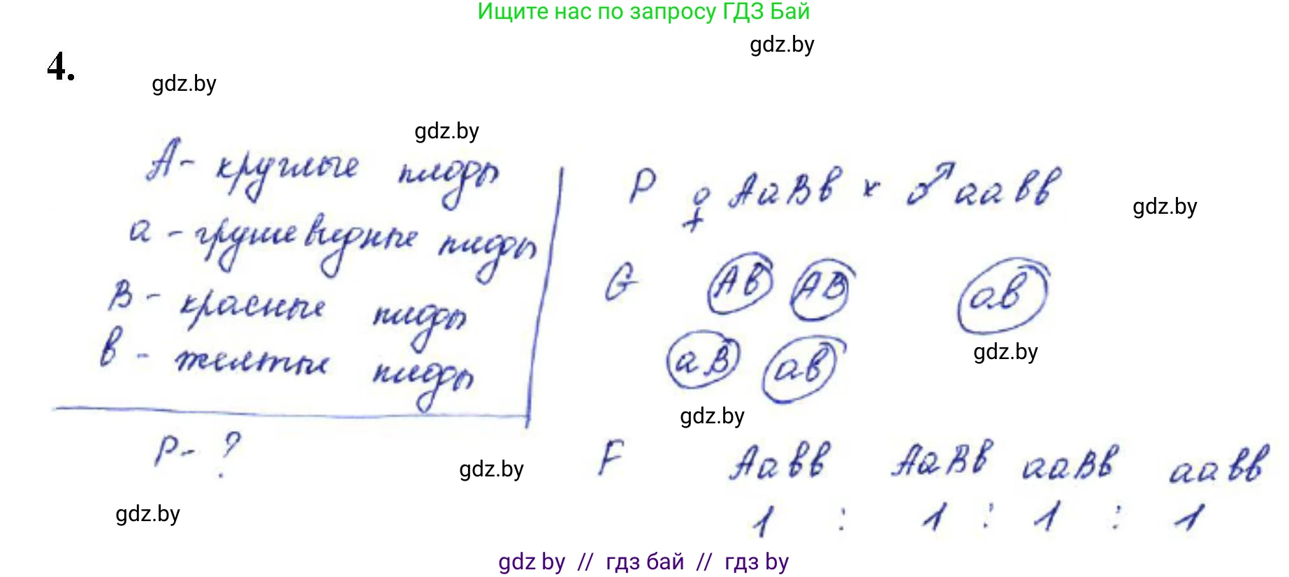 Биология, 11 класс Тетрадь для лабораторных и практических работ, автор: Хруцкая Тамара Викторовна, издательство Аверсэв, Минск, 2021, жёлтого цвета, страница 61, номер 4, Решение