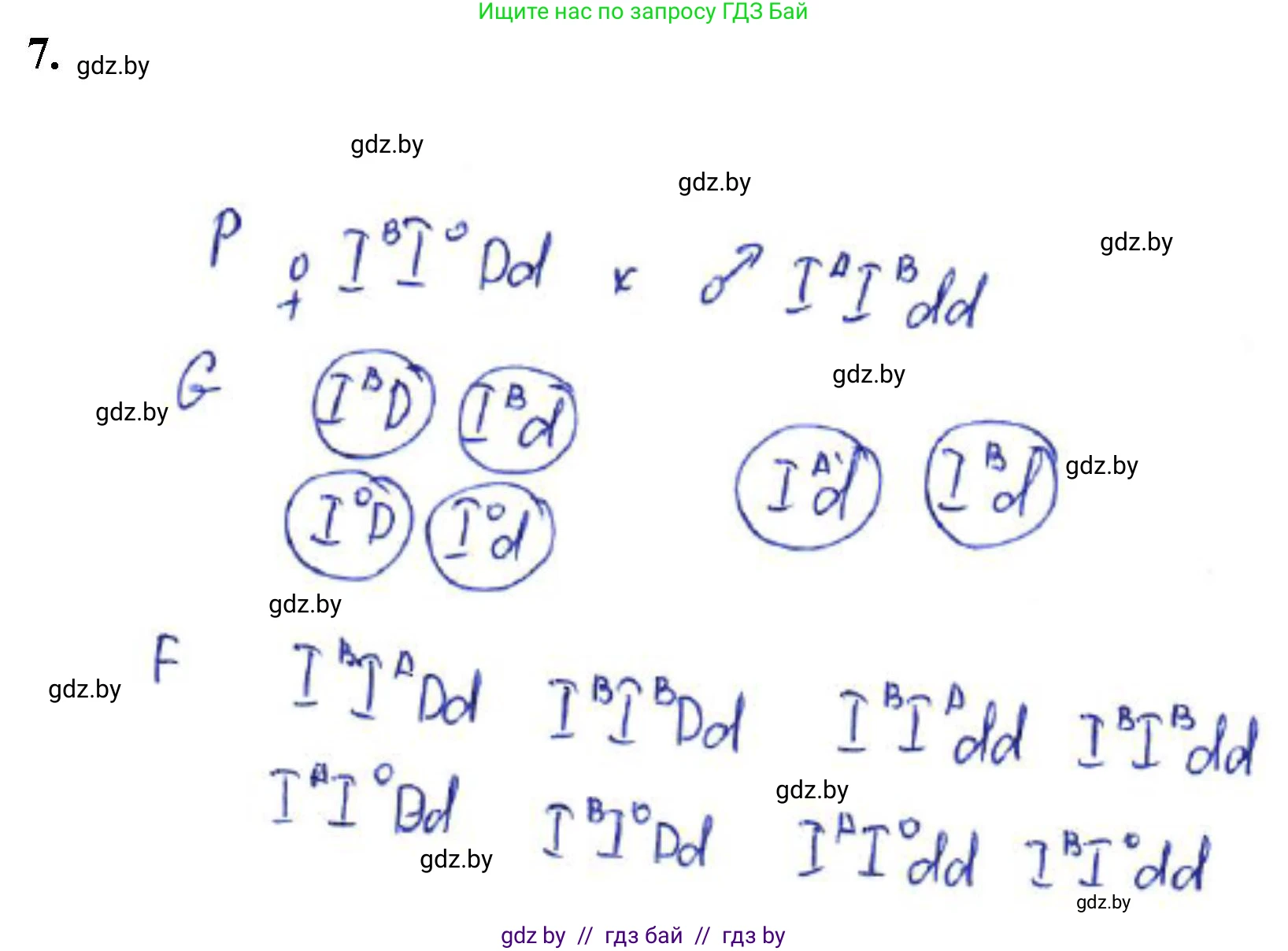 Биология, 11 класс Тетрадь для лабораторных и практических работ, автор: Хруцкая Тамара Викторовна, издательство Аверсэв, Минск, 2021, жёлтого цвета, страница 63, номер 7, Решение
