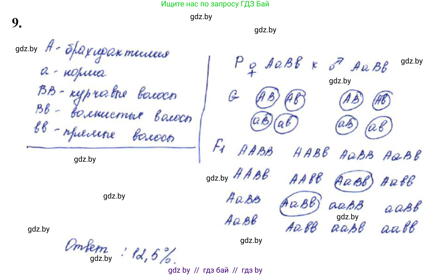 Биология, 11 класс Тетрадь для лабораторных и практических работ, автор: Хруцкая Тамара Викторовна, издательство Аверсэв, Минск, 2021, жёлтого цвета, страница 64, номер 9, Решение