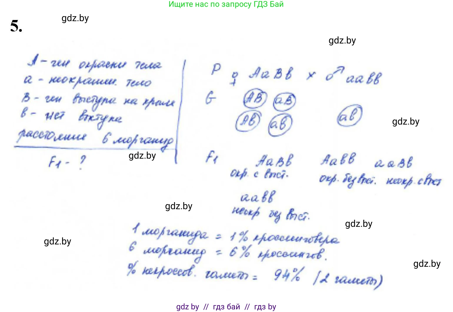 Биология, 11 класс Тетрадь для лабораторных и практических работ, автор: Хруцкая Тамара Викторовна, издательство Аверсэв, Минск, 2021, жёлтого цвета, страница 67, номер 5, Решение
