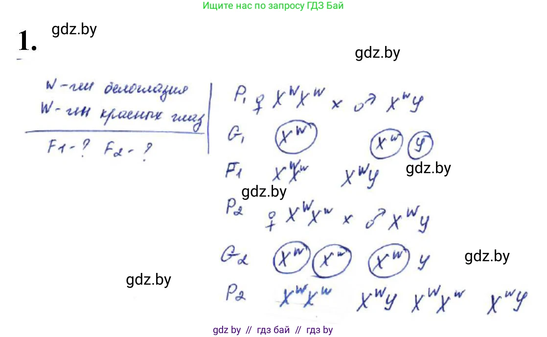 Биология, 11 класс Тетрадь для лабораторных и практических работ, автор: Хруцкая Тамара Викторовна, издательство Аверсэв, Минск, 2021, жёлтого цвета, страница 71, номер 1, Решение