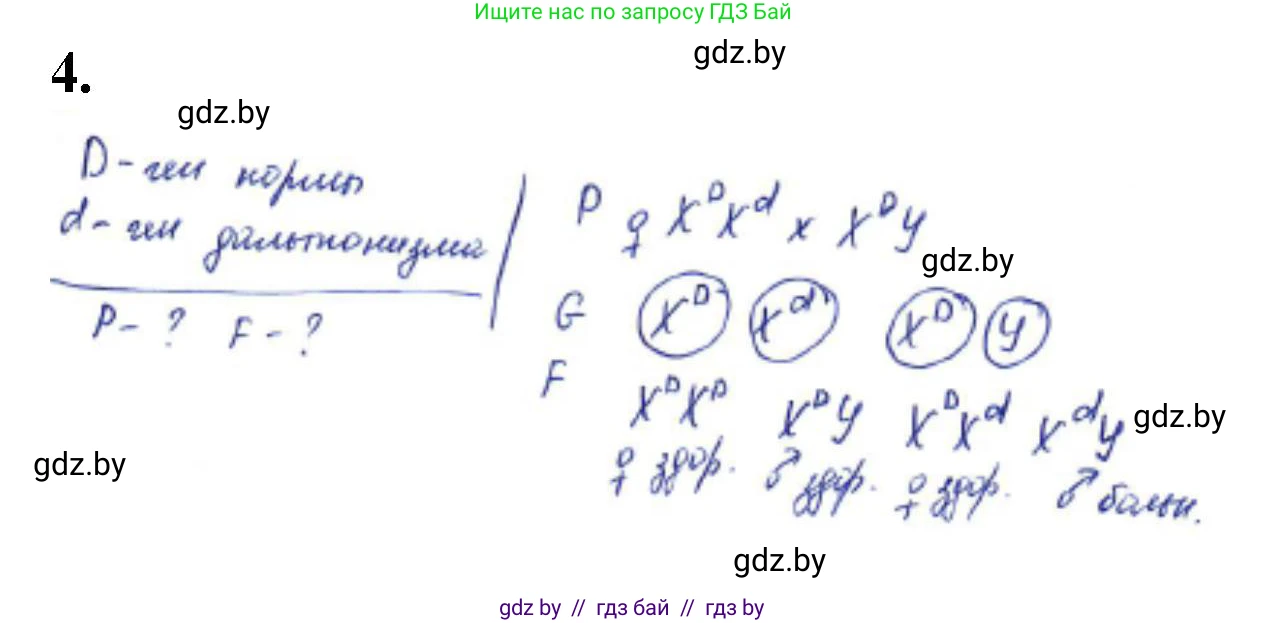 Биология, 11 класс Тетрадь для лабораторных и практических работ, автор: Хруцкая Тамара Викторовна, издательство Аверсэв, Минск, 2021, жёлтого цвета, страница 72, номер 4, Решение