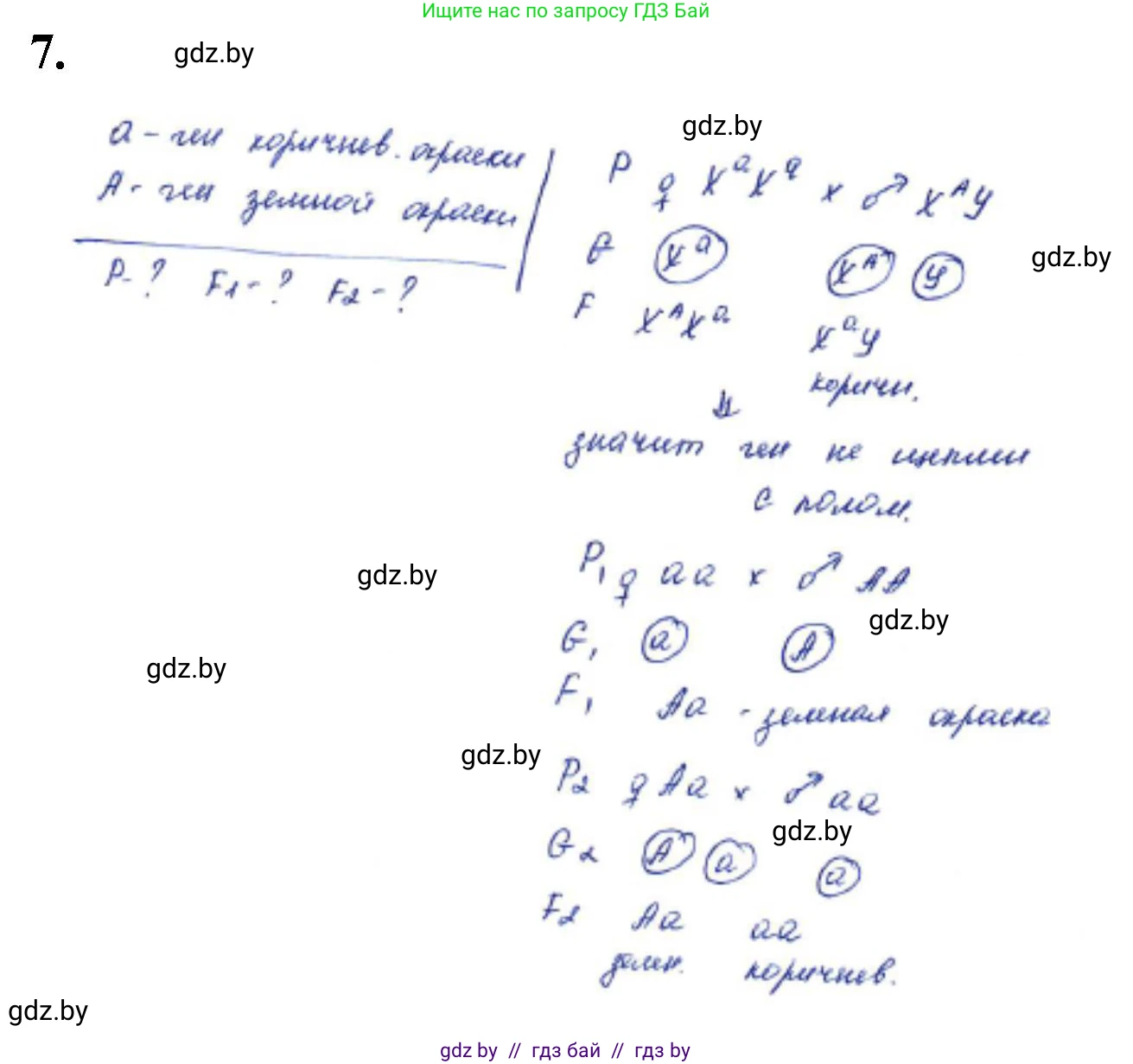 Биология, 11 класс Тетрадь для лабораторных и практических работ, автор: Хруцкая Тамара Викторовна, издательство Аверсэв, Минск, 2021, жёлтого цвета, страница 74, номер 7, Решение
