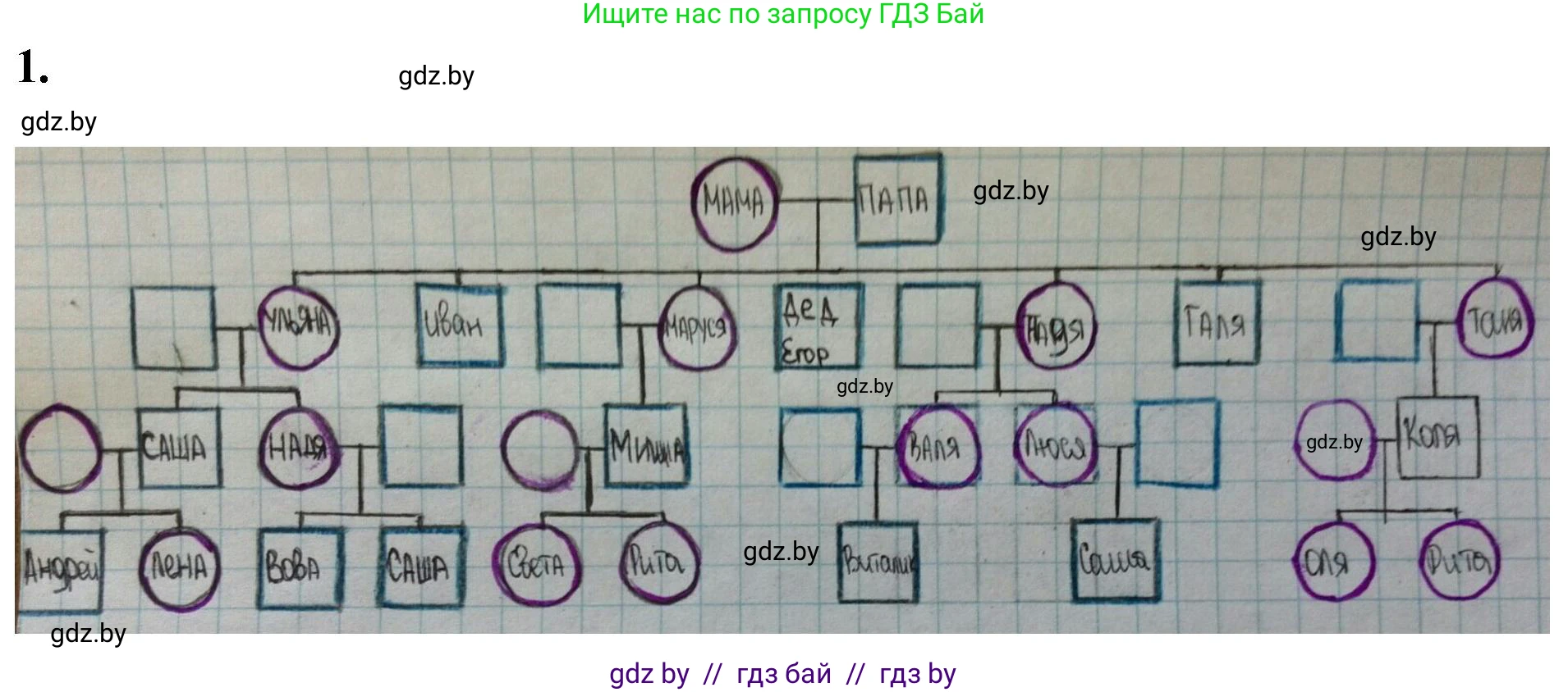 Биология, 11 класс Тетрадь для лабораторных и практических работ, автор: Хруцкая Тамара Викторовна, издательство Аверсэв, Минск, 2021, жёлтого цвета, страница 83, номер 1, Решение