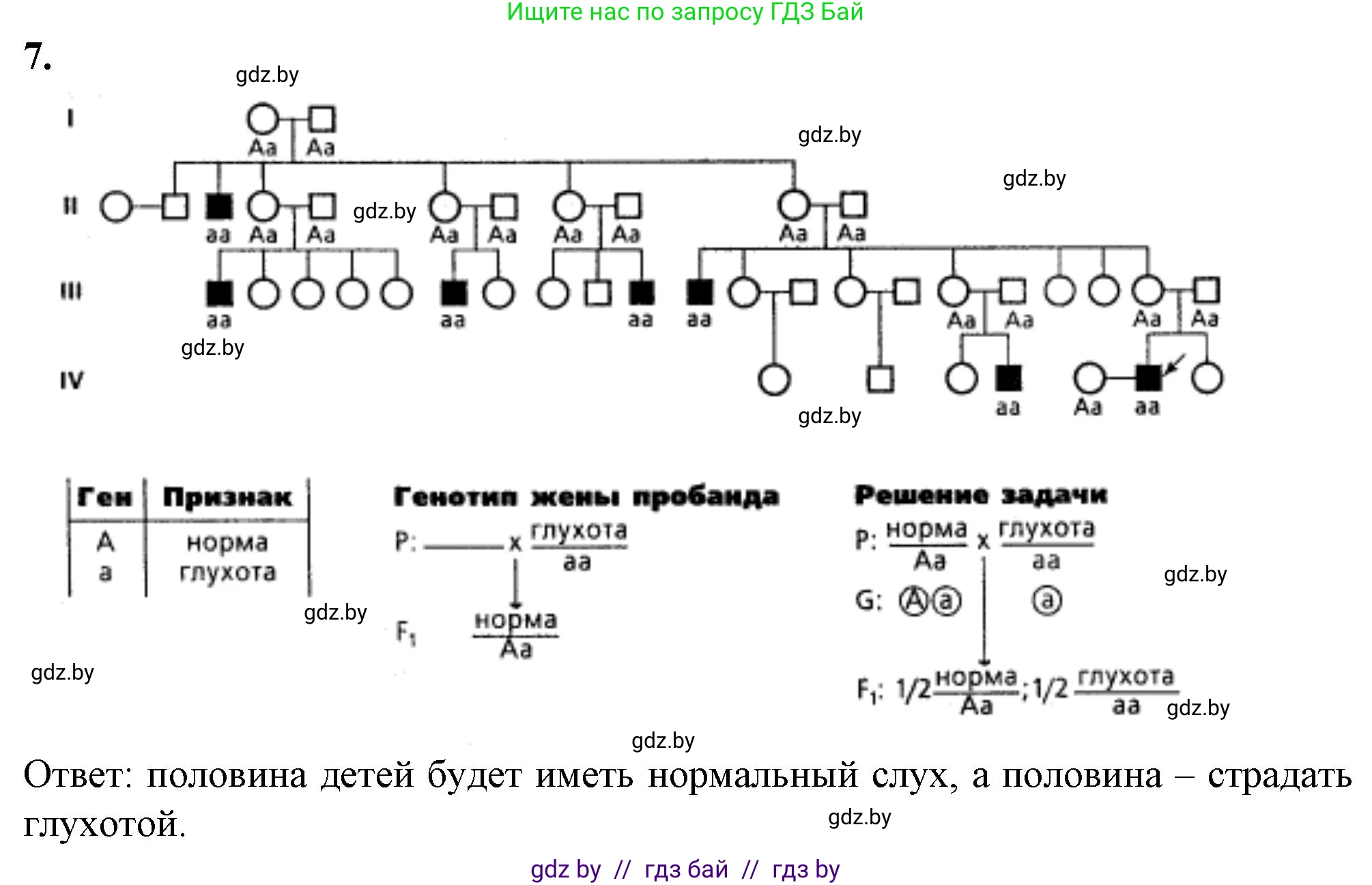 Биология, 11 класс Тетрадь для лабораторных и практических работ, автор: Хруцкая Тамара Викторовна, издательство Аверсэв, Минск, 2021, жёлтого цвета, страница 86, номер 7, Решение