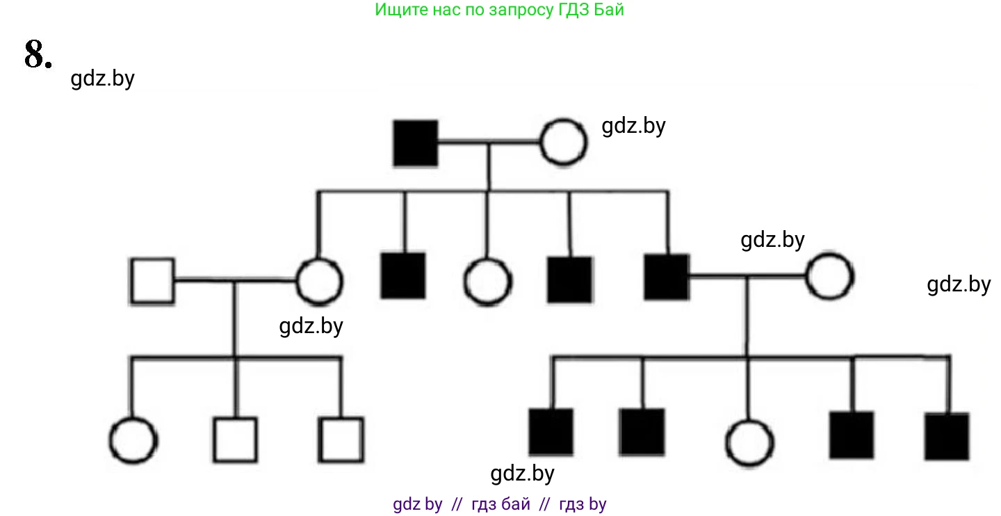 Биология, 11 класс Тетрадь для лабораторных и практических работ, автор: Хруцкая Тамара Викторовна, издательство Аверсэв, Минск, 2021, жёлтого цвета, страница 87, номер 8, Решение