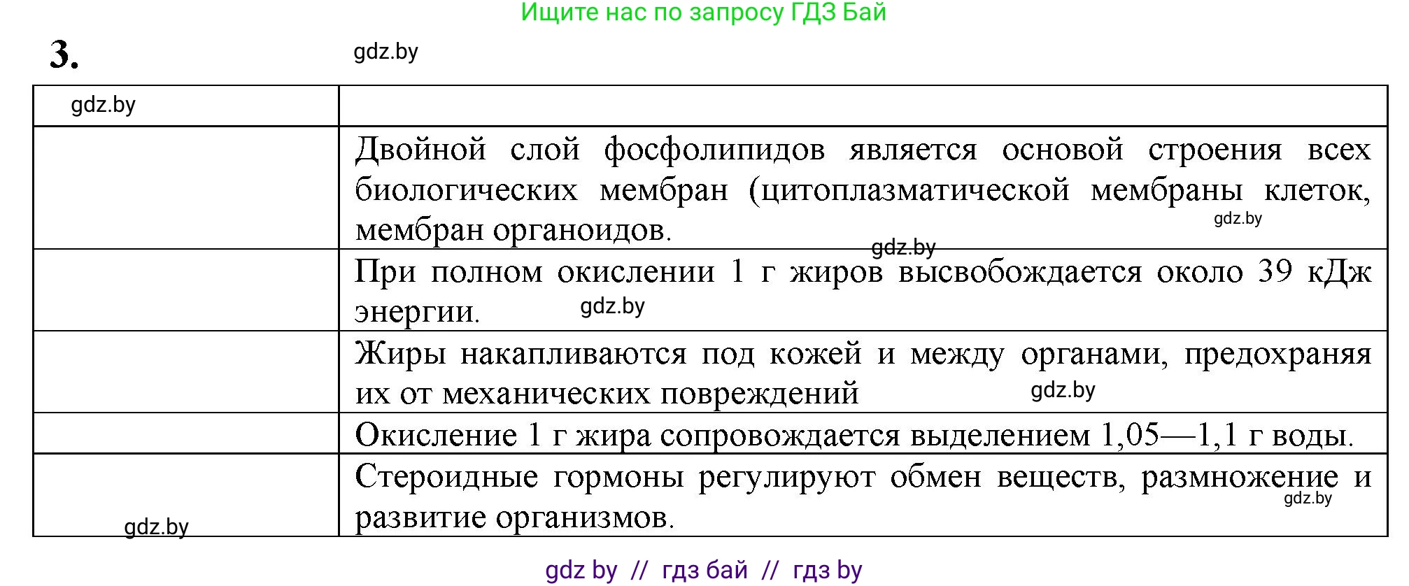 Биология, 11 класс рабочая тетрадь, автор: Хруцкая Тамара Викторовна, издательство Аверсэв, Минск, 2021, зелёного цвета, страница 13, номер 3, Решение