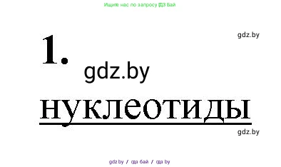 Биология, 11 класс рабочая тетрадь, автор: Хруцкая Тамара Викторовна, издательство Аверсэв, Минск, 2021, зелёного цвета, страница 15, номер 1, Решение