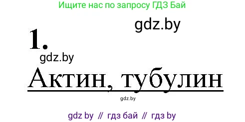 Биология, 11 класс рабочая тетрадь, автор: Хруцкая Тамара Викторовна, издательство Аверсэв, Минск, 2021, зелёного цвета, страница 23, номер 1, Решение