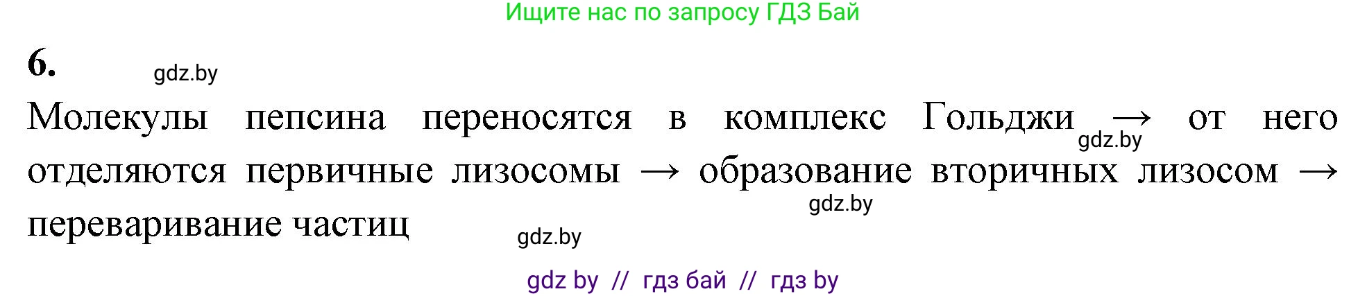 Биология, 11 класс рабочая тетрадь, автор: Хруцкая Тамара Викторовна, издательство Аверсэв, Минск, 2021, зелёного цвета, страница 26, номер 6, Решение