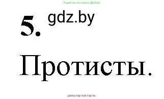 Биология, 11 класс рабочая тетрадь, автор: Хруцкая Тамара Викторовна, издательство Аверсэв, Минск, 2021, зелёного цвета, страница 30, номер 5, Решение