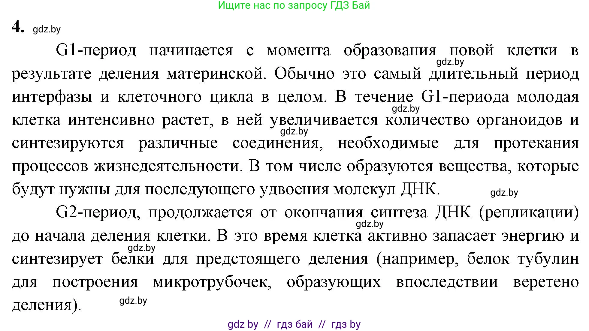 Биология, 11 класс рабочая тетрадь, автор: Хруцкая Тамара Викторовна, издательство Аверсэв, Минск, 2021, зелёного цвета, страница 32, номер 4, Решение
