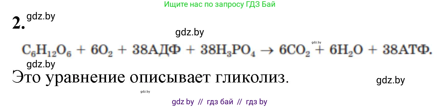 Биология, 11 класс рабочая тетрадь, автор: Хруцкая Тамара Викторовна, издательство Аверсэв, Минск, 2021, зелёного цвета, страница 41, номер 2, Решение