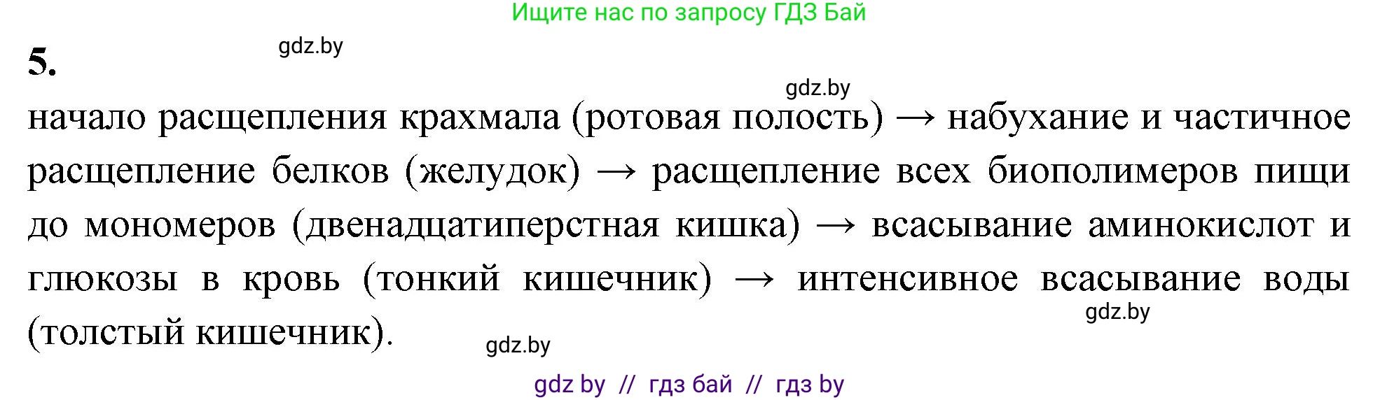 Биология, 11 класс рабочая тетрадь, автор: Хруцкая Тамара Викторовна, издательство Аверсэв, Минск, 2021, зелёного цвета, страница 42, номер 5, Решение
