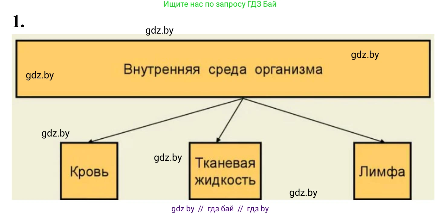 Биология, 11 класс рабочая тетрадь, автор: Хруцкая Тамара Викторовна, издательство Аверсэв, Минск, 2021, зелёного цвета, страница 52, номер 1, Решение