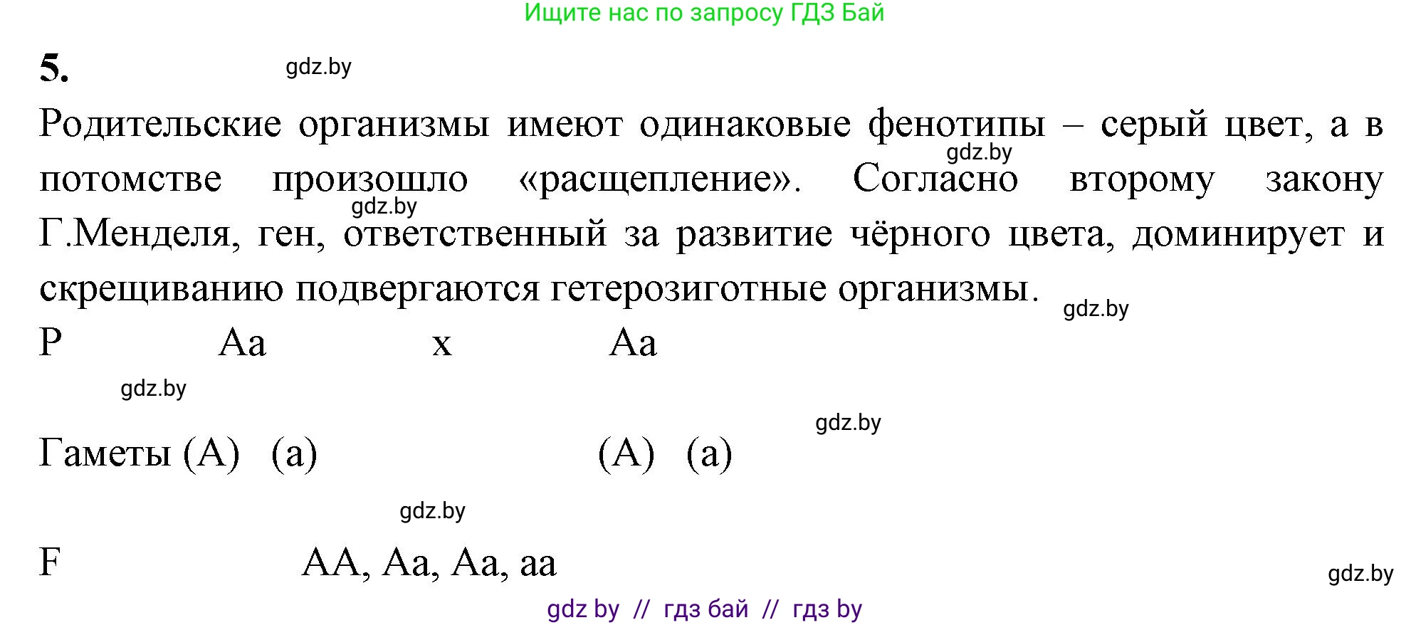 Биология, 11 класс рабочая тетрадь, автор: Хруцкая Тамара Викторовна, издательство Аверсэв, Минск, 2021, зелёного цвета, страница 57, номер 5, Решение