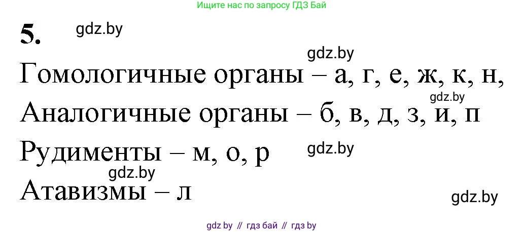 Биология, 11 класс рабочая тетрадь, автор: Хруцкая Тамара Викторовна, издательство Аверсэв, Минск, 2021, зелёного цвета, страница 93, номер 5, Решение