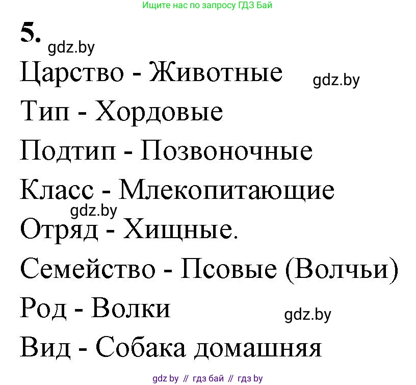 Биология, 11 класс рабочая тетрадь, автор: Хруцкая Тамара Викторовна, издательство Аверсэв, Минск, 2021, зелёного цвета, страница 99, номер 5, Решение