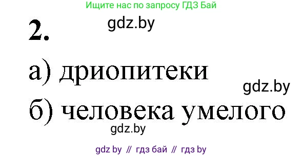 Биология, 11 класс рабочая тетрадь, автор: Хруцкая Тамара Викторовна, издательство Аверсэв, Минск, 2021, зелёного цвета, страница 104, номер 2, Решение