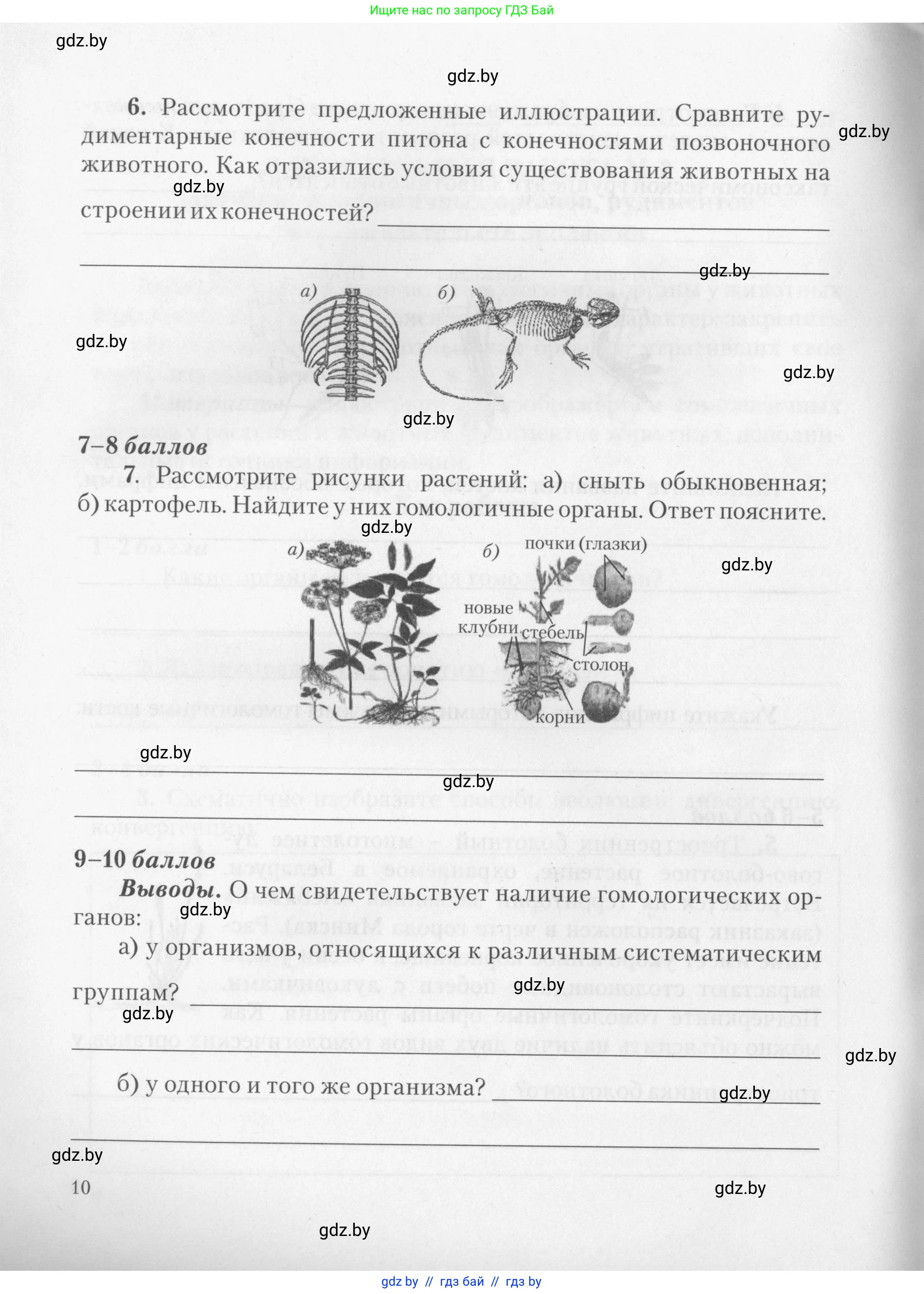 Биология, 11 класс тетрадь для практических и лабораторных работ, экскурсий, автор: Новик Ирина Михайловна, издательство Сэр-Вит, Минск, 2019, розового цвета, страница 10