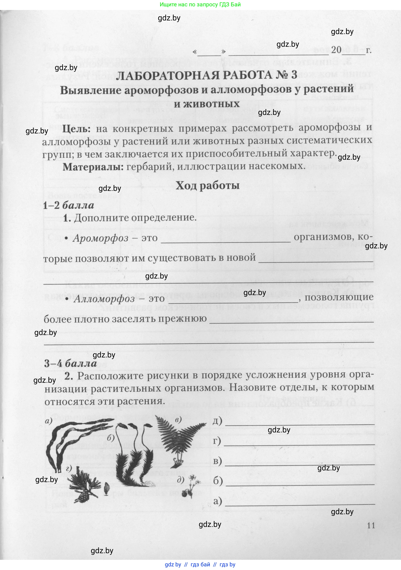 Биология, 11 класс тетрадь для практических и лабораторных работ, экскурсий, автор: Новик Ирина Михайловна, издательство Сэр-Вит, Минск, 2019, розового цвета, страница 11