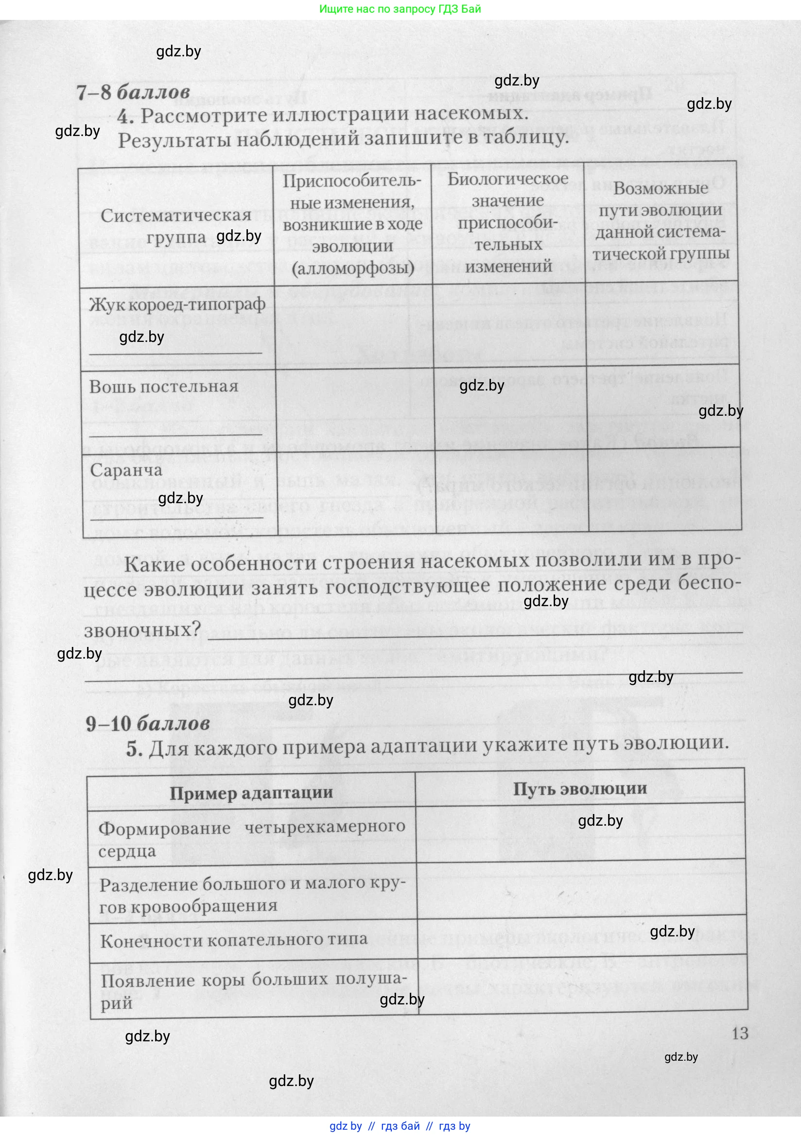 Биология, 11 класс тетрадь для практических и лабораторных работ, экскурсий, автор: Новик Ирина Михайловна, издательство Сэр-Вит, Минск, 2019, розового цвета, страница 13