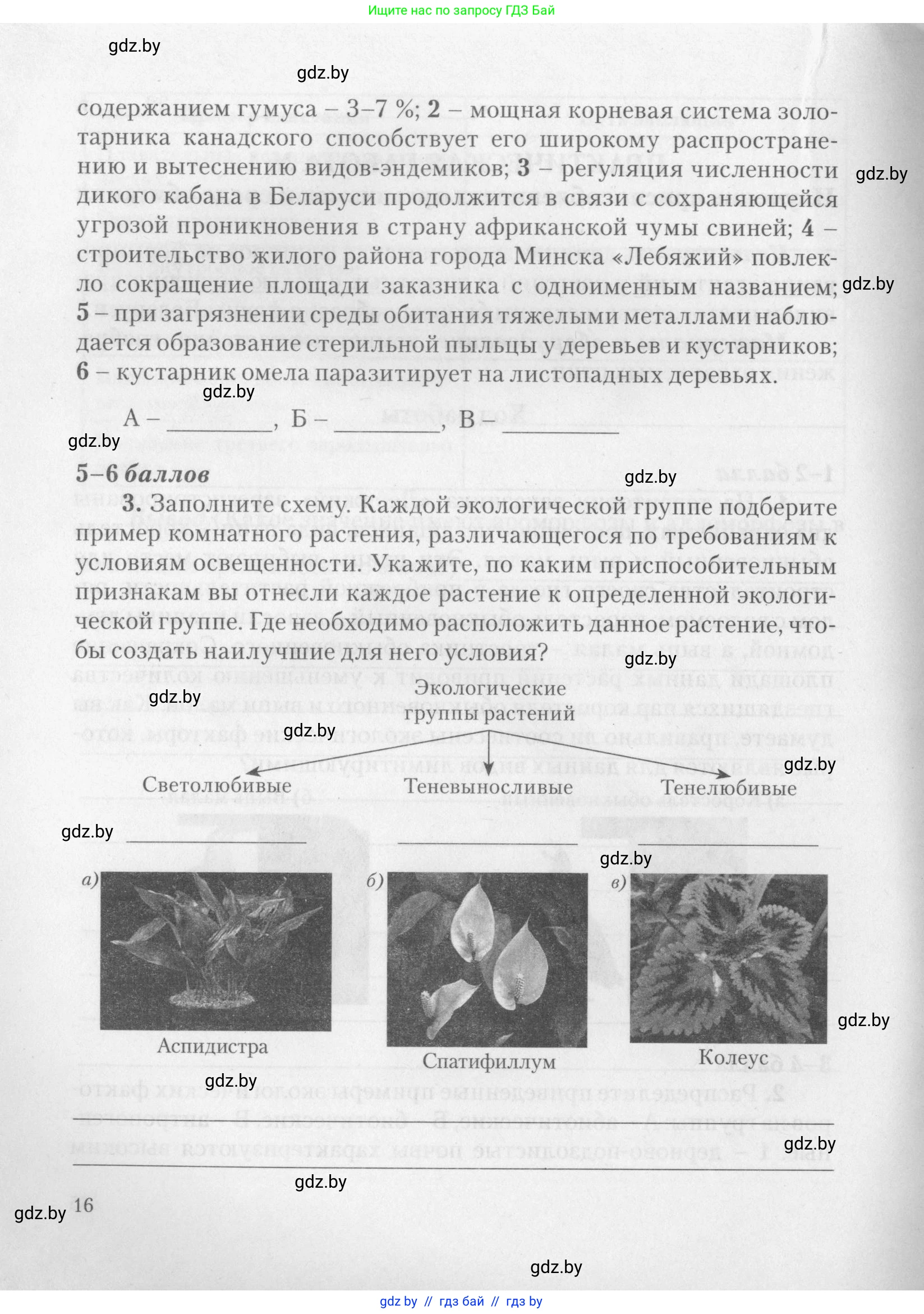 Биология, 11 класс тетрадь для практических и лабораторных работ, экскурсий, автор: Новик Ирина Михайловна, издательство Сэр-Вит, Минск, 2019, розового цвета, страница 16