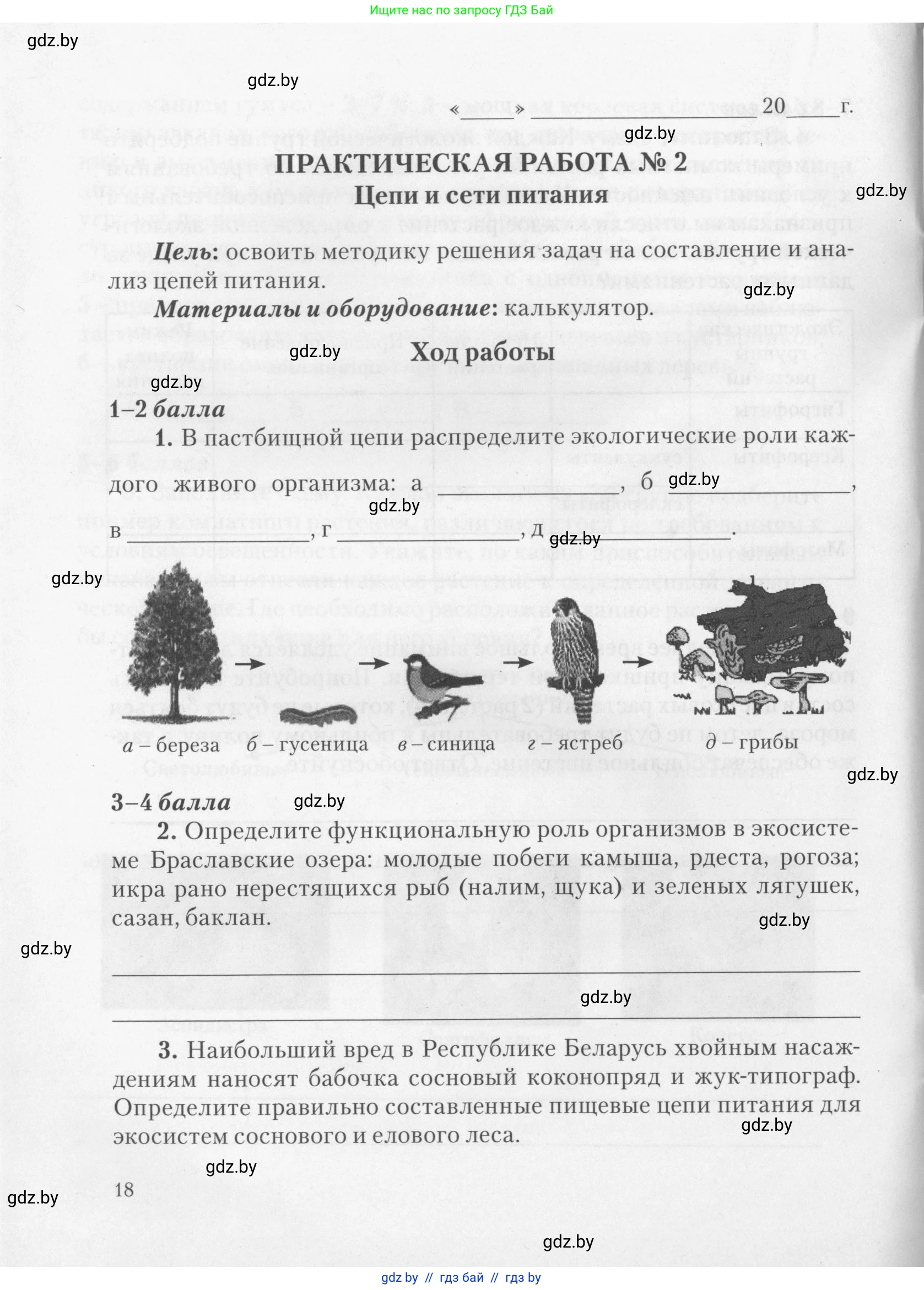 Биология, 11 класс тетрадь для практических и лабораторных работ, экскурсий, автор: Новик Ирина Михайловна, издательство Сэр-Вит, Минск, 2019, розового цвета, страница 18