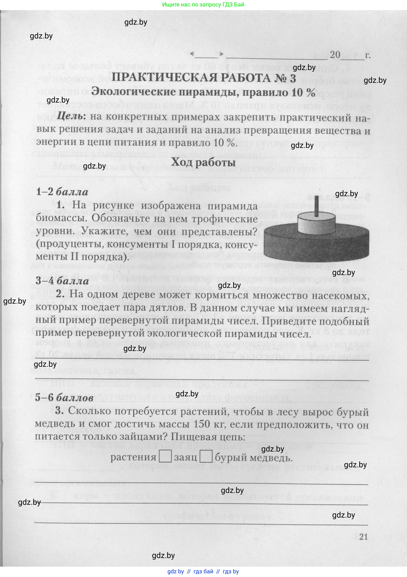 Биология, 11 класс тетрадь для практических и лабораторных работ, экскурсий, автор: Новик Ирина Михайловна, издательство Сэр-Вит, Минск, 2019, розового цвета, страница 21